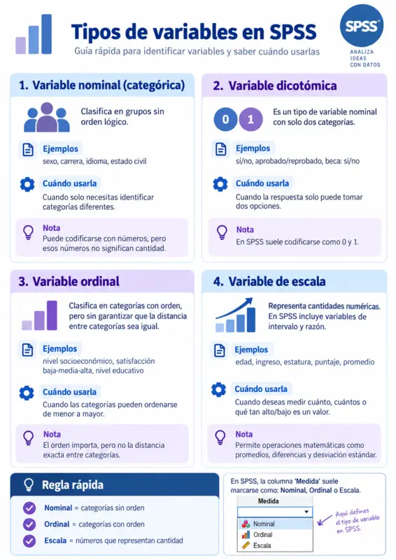 Vista previa de la infografía Tipos de variables en SPSS